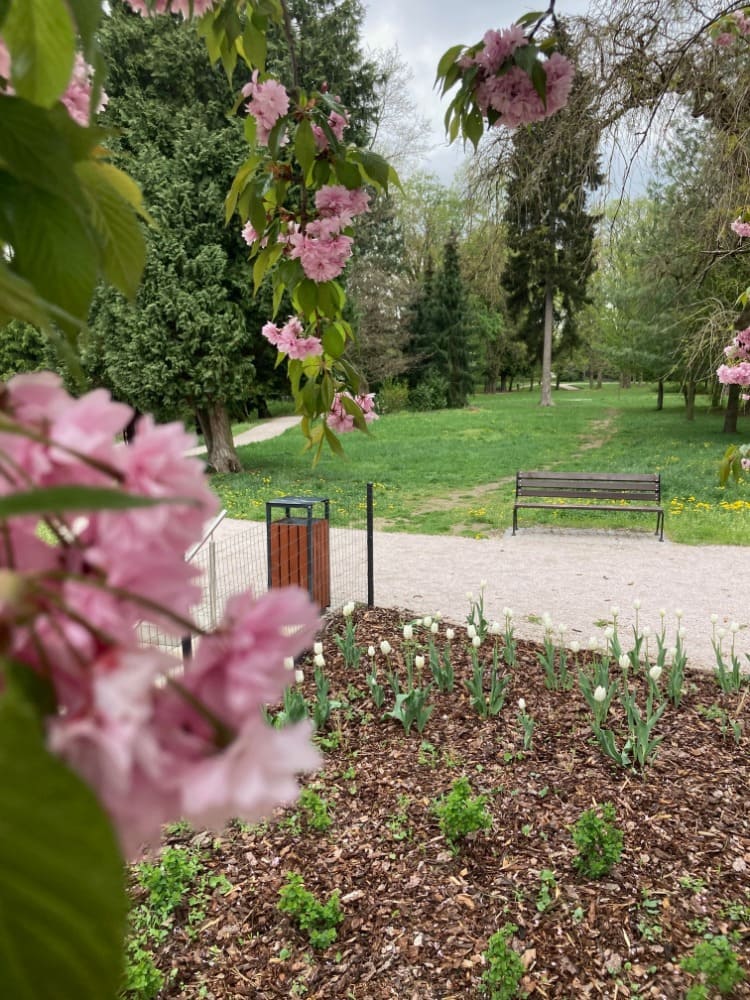 seykoruv-park-05